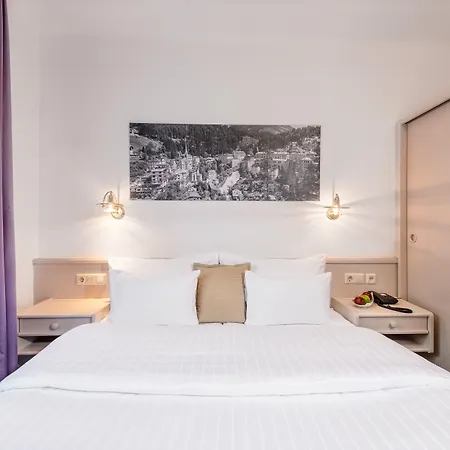 Hotel Goethehof 2*