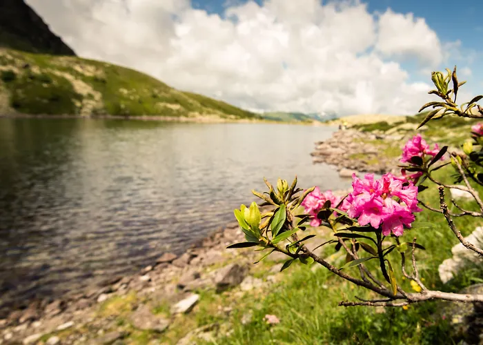 Goethehof 호텔 바트 가슈타인